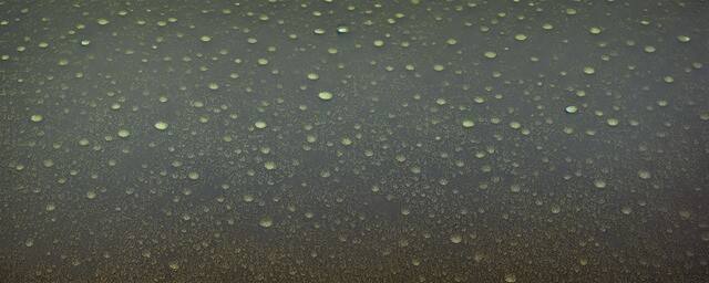 酸雨的形成及危害